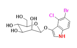 Synveda Pharmaceuticals in Ragannaguda, Friends Colony,Hyderabad