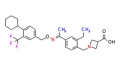 Synveda Pharmaceuticals in Ragannaguda, Friends Colony,Hyderabad